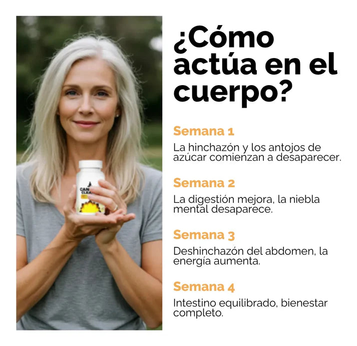 Candida Cleanse - Recupera tu equilibrio interno